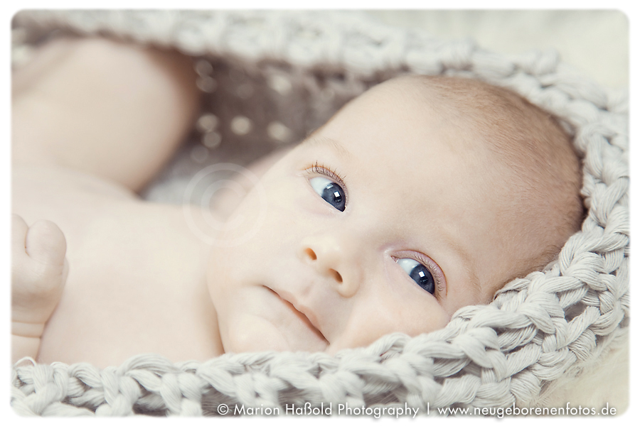 Baby Charles by MarionHassoldPhotography 1