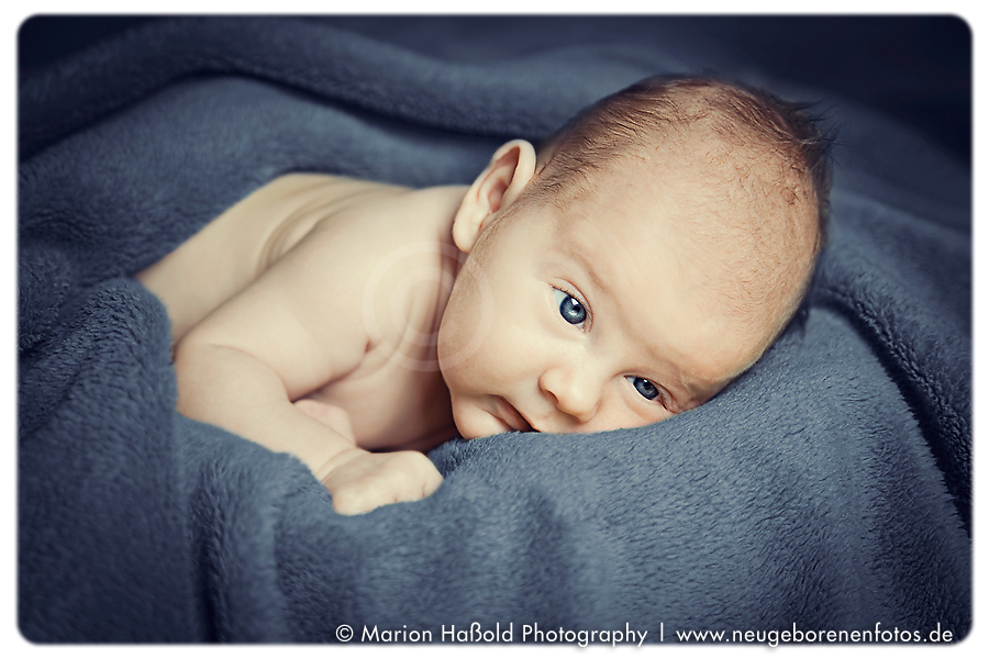 Baby Charles by MarionHassoldPhotography 2