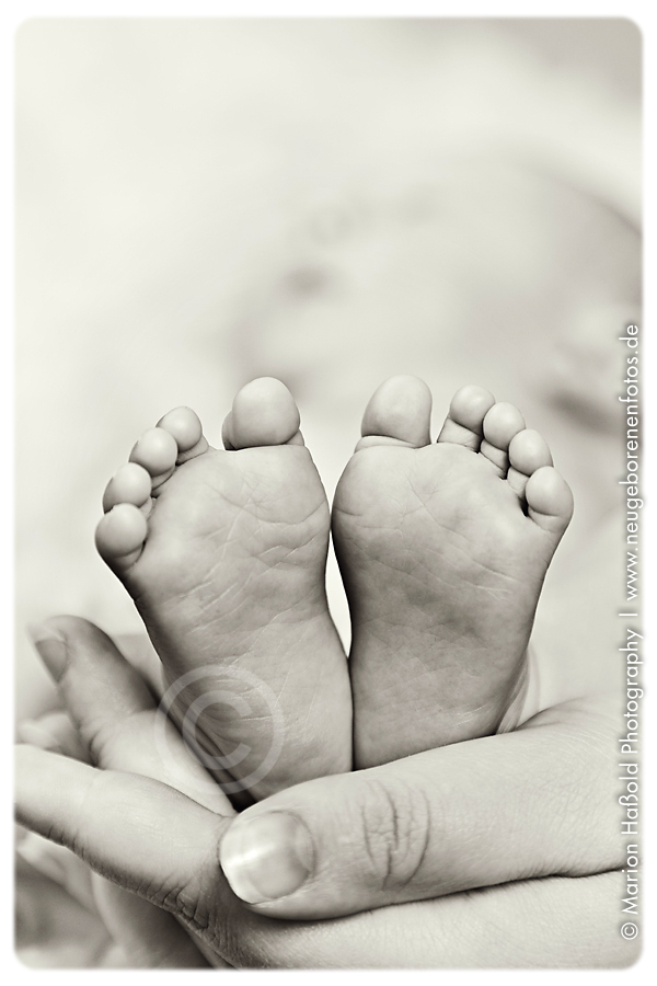 Baby Charles by MarionHassoldPhotography 8