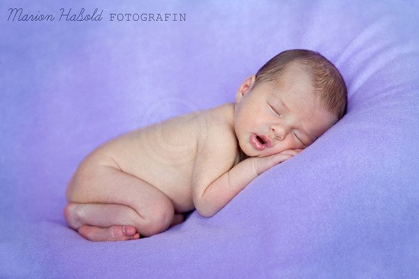 Neugeborenenfotoshooting in den ersten 10 Tagen