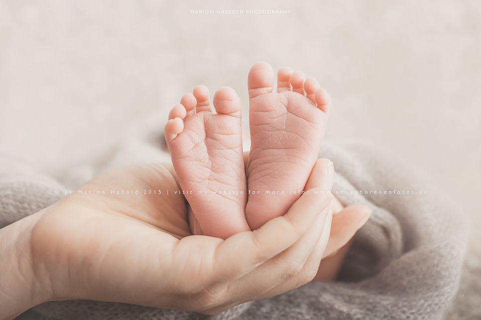 Neugeborenenfotos_by-MarionHassold-18