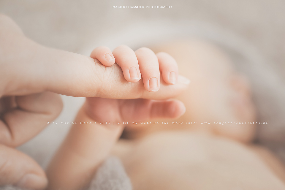 Neugeborenenfotos_by-MarionHassold-19