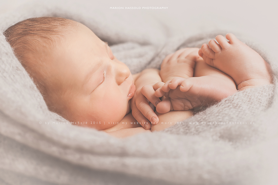 16-Babybauchfotos_und_Neugeborenenfotos_Esslingen
