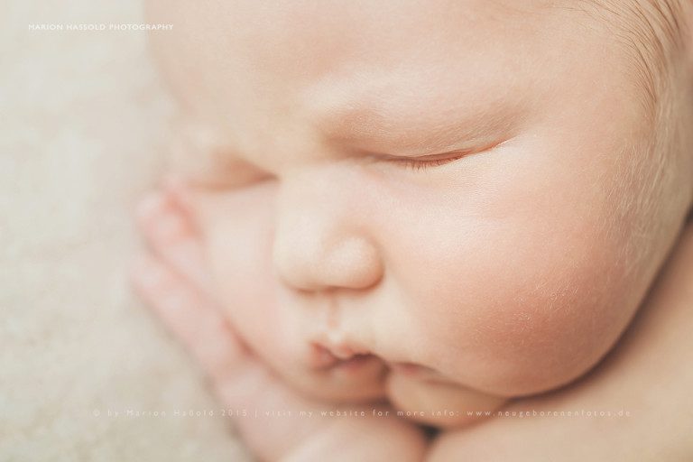 Neugeborenenfotos mit dem 7 Tage alten Silas.