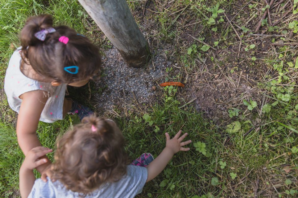 Die schönsten Ausflüge mit Kindern: der Wald-Erlebnispfad Urbach 58 53 Fotografie MarionHassold 6991