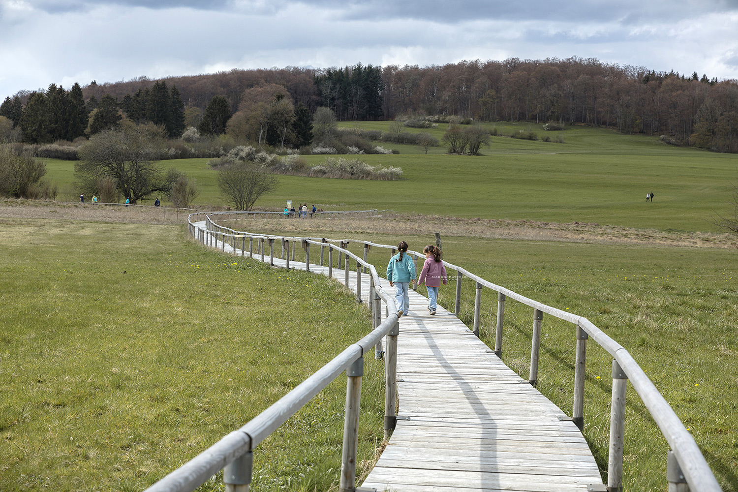 Der Bohlenweg durchs Moor